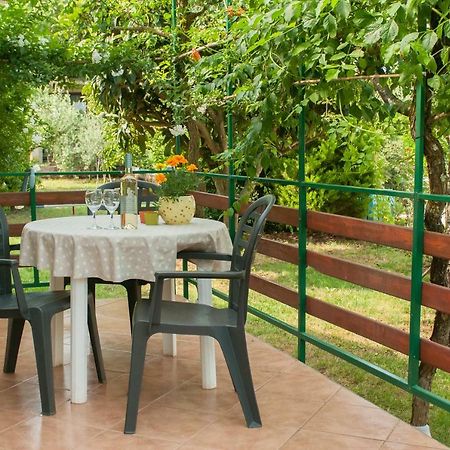 Studio And Apartment Nadia With Garden Porec Exterior photo